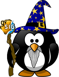 wizard_penguin